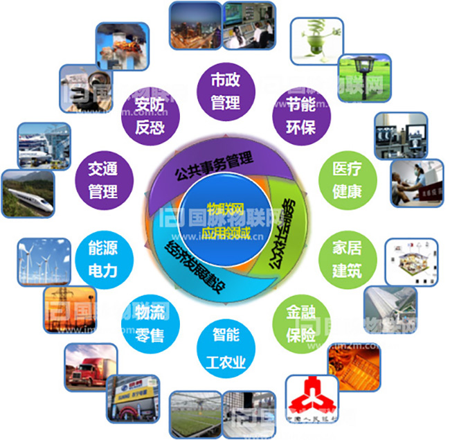 杨冰之：重视物联网在关键产业的应用