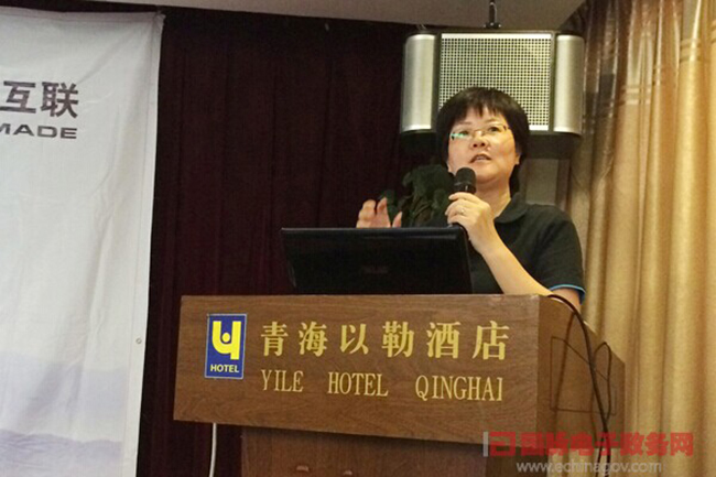 优胜客互联总经理、首席规划师郑爱军正在进行《政府网站+评估体系构建思路》的主题演讲