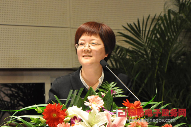 郑爱军：“政府网站+”时代 ，政府网站如何定位？