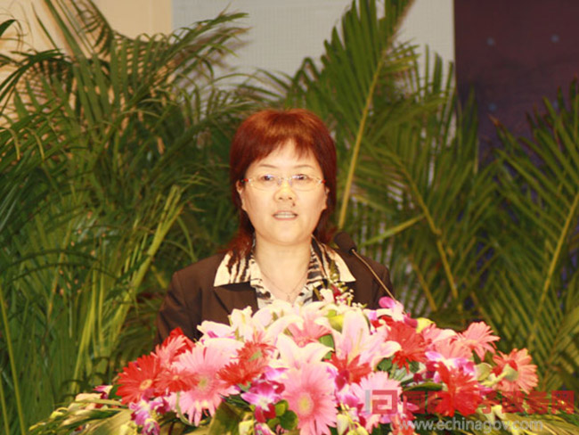 北京优胜客互联信息顾问有限公司总经理、首席规划师郑爱军女士正在做《从电子政务到智慧政府：优胜客的思考与实践》为题的主题发言