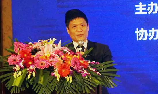 优胜客海洋信息发展有限公司董事长杨冰之在“数据基因与大数据产业发展战略研讨会”上发表演讲