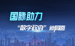 专题 | 优胜客助力“数字政府”新局面